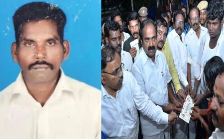 வயலில் தேங்கிய மழைநீரை அகற்றிய விவசாயிக்கு நேர்ந்த சோகம்- நிவாரணம் வழங்கி அமைச்சர்