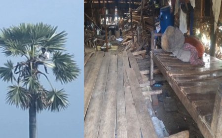 மறுக்கப்பட்ட நிவாரணத்தை தரக் கோரி மரத்திலேறி போராட்டம்