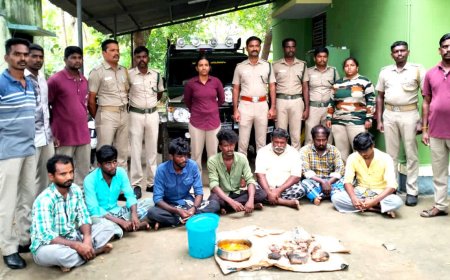  தென்காசி: தொடரும் காட்டுப் பன்றி வேட்டை