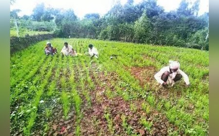 ‘எங்கள் துன்பத்தை கேட்பாரில்லை’ - கோவை விவசாயிகள் ஆதங்கம்