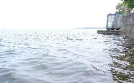 நீர்வரத்து அதிகரிப்பு: 46 அடியை எட்டிய வீராணம் ஏரி