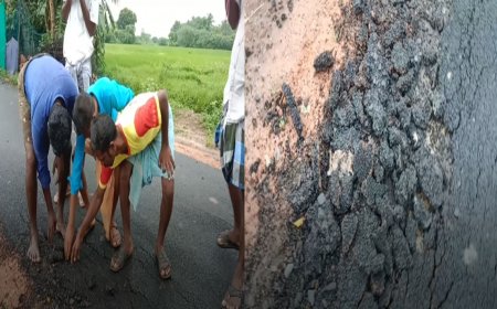 போடப்பட்ட   40 நாட்களில் தார்ச்சாலை பெயர்ந்த அவலம்