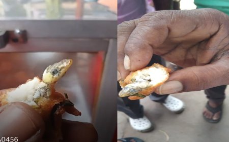 தருமபுரி: டீ கடையில் வாங்கிய வடையில் பல்லி !