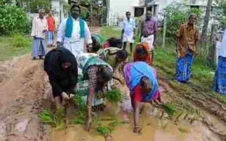 சேறும், சகதியுமான மண் சாலையில் நாற்று நட்டு  போராட்டம்