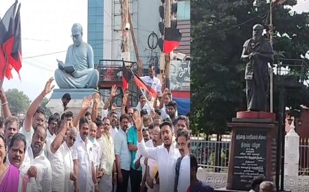 உதயநிதி பிறந்தநாள் - பெரியார், அண்ணாவை மறந்த திமுகவினர்