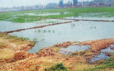 கோவை: கோழிக்கே தண்ணீரை காசு கொடுத்து வாங்கும் விவசாயிகள்