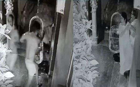 வீட்டிற்குள் புகுந்து  மங்கி குல்லா கொள்ளையர்கள் செயின் பறிப்பு