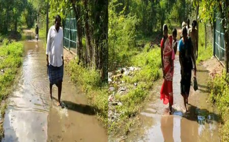 திருவாரூர் அருகே குடியிருப்பு பகுதியில் வடியாத மழைநீர்-சாலையை  வெட்டியபோது குடிநீர் குழாய் உடைந்ததால் மக்கள் அவதி