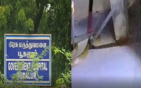 தஞ்சாவூர்: அரசு மருத்துவமனையில் பாம்பு புகுந்ததால் பெரும் பரபரப்பு -வீடியோ சமூக வலைதளங்களில் வைரல்