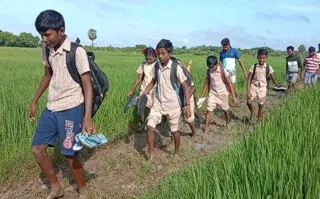சாலை  இல்லாததால் அரசு பள்ளி மாணவர்கள் சேற்றில் நடக்கும் அவலம்