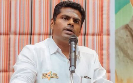 ஒட்டுமொத்த அமலாக்கத்துறையும் குற்றம் சொல்வது கூடாது -அண்ணாமலை