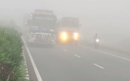 தருமபுரி உள்ளிட்ட பகுதிகளில் கடுமையான  பனிப்பொழிவு