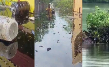 கச்சா எண்ணெய் கழிவுகளை அகற்ற நடவடிக்கை எடுக்கப்படும் -பசுமை தீர்ப்பாயத்தில் தகவல்