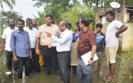 மழையால் பாதிக்கப்பட்ட இடங்களில் திருவள்ளூர் ஆட்சியர் ஆய்வு
