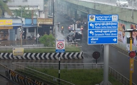 தஞ்சாவூரில் பரவலாக மழை: விவசாயிகள் மகிழ்ச்சி