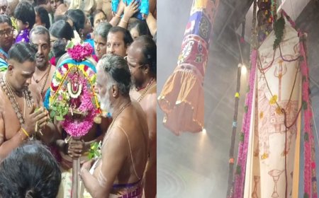 சிதம்பரம்: ஆருத்ரா தரிசன விழா கொடியேற்றம் - ஏராளமான பக்தர்கள் தரிசனம்