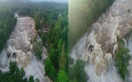 குமரியில் கன மழை - திற்பரப்பு அருவியில் காட்டாற்று வெள்ளம்