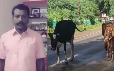 சாலையில் திரிந்த மாட்டின் மீது மோதி  உயிரிழந்த எஸ். எஸ். ஐ!