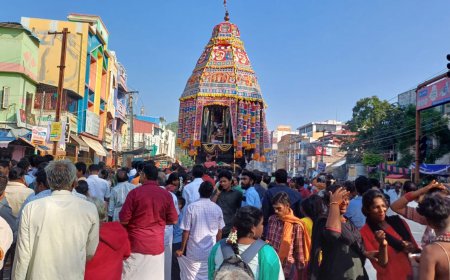 சிதம்பரம் நடராஜர் கோவிலில் தேரோட்டம் -ஏராளமான பக்தர்கள் பங்கேற்பு
