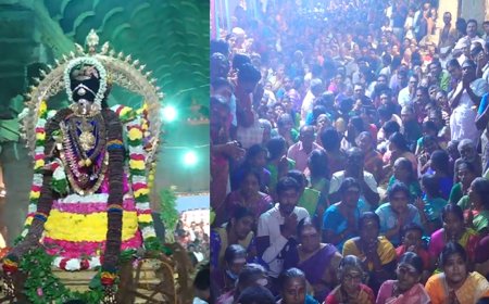 நெல்லை தாமிரசபையில் நடராஜர் ஆருத்ரா தரிசனம் -ஆயிரக்கணக்கான பக்தர்கள் தாிசனம்