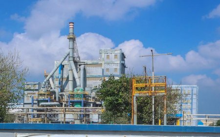 எண்ணூர் தொழிற்சாலை அமோனியா வாயு கசிவு - தேசிய பசுமை தீர்ப்பாயம் தாமாக முன்வந்து வழக்கு