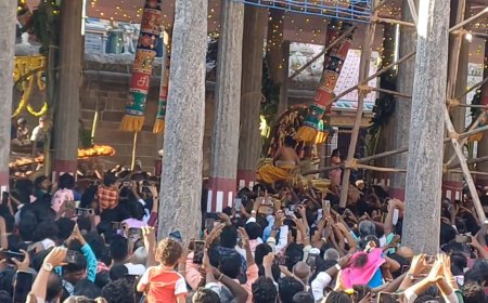 சிதம்பரம் நடராஜர் கோவிலில்  ஆருத்ரா தரிசனம் கோலாகலம்