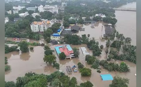நெல்லை மாவட்ட வெள்ளச் சேதம் எவ்வளவு?-கலெக்டர் விளக்கம்