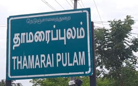 வேறொருவரின் சான்றிதழை கொடுத்து பணியில் சேர்ந்த ஊராட்சி செயலாளர்