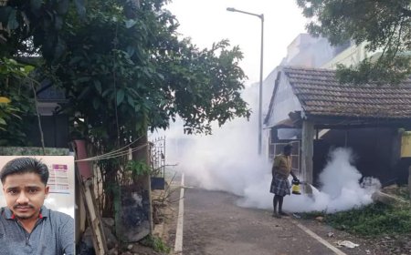 ‘எனது 6 மாத குழந்தையை கொசு கடிக்கிறது’-குவைத்தில் இருந்து தஞ்சைக்கு இ-மெயில் அனுப்பிய தந்தை