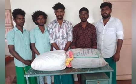 நெல்லையில் 25 கிலோ கஞ்சா கடத்தல் - 5 பேர் கைது