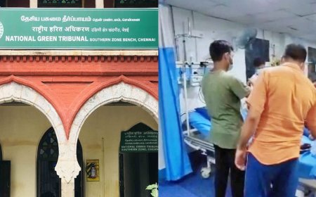 அம்மோனியம் வாயு வெளியேற்றம்: அறிக்கை தாக்கல் செய்ய பசுமை தீர்ப்பாயம் உத்தரவு