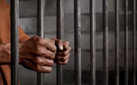 பாவூர்சத்திரம்:தாயின் தலையில் கல்லை போட்டு கொலை செய்த மகன் கைது