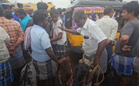 பொங்கல் பண்டிகை: பாவூர்சத்திரம் அரசு சந்தையில் ஆடு விற்பனை அமோகம்
