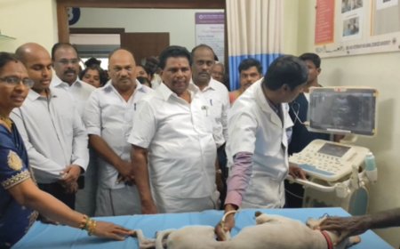 கால்நடைதுறையில் காலி பணியிடங்கள் விரைவில் நிரப்பப்படும்-அமைச்சர்  தகவல்