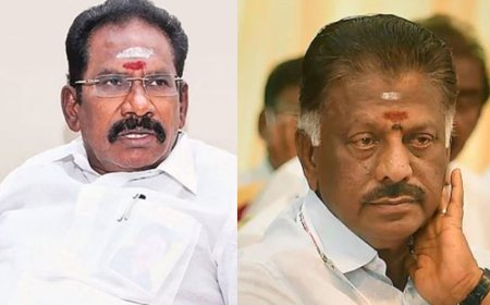 புலிவேட்டைக்கு செல்லும் எலிவேட்டையை பற்றி பேசாதீர்கள் -ஓபிஎஸ்ஸை சாடிய செல்லூர் ராஜு