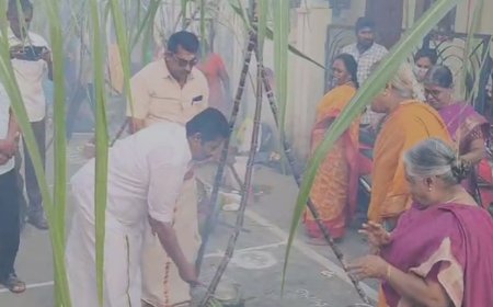 இந்து மக்கள் சார்பில் சனாதனம் போற்றும் பொங்கல்- திமுக எம்.எல்.ஏ பங்கேற்பு