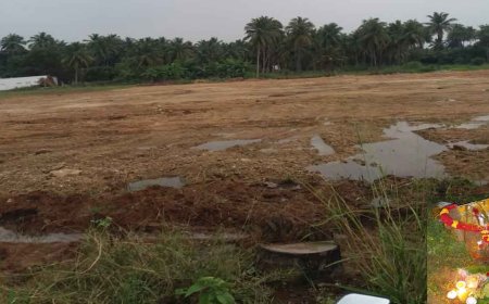 நாமக்கல்: கோயிலை இடித்து, சாமி சிலைகளை தூக்கிபோட்டு வீட்டுமனை