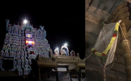 கொடியேற்றத்துடன் தொடங்கிய நெல்லையப்பர் திருக்கோவிலில் தைப்பூசத் திருவிழா