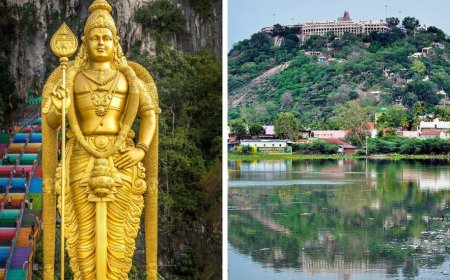 பழனி கோவிலில் இந்து அல்லாதவர்கள் தடை.. உயர்நீதிமன்றம் அதிரடி உத்தரவு !