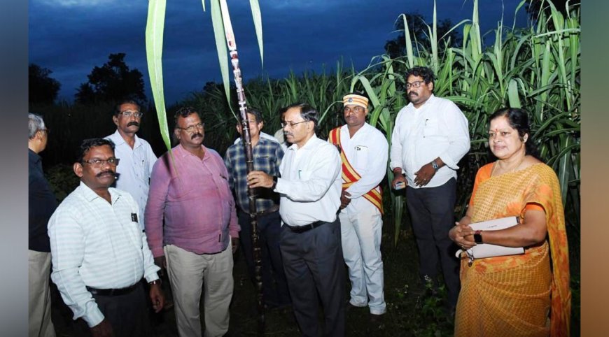 பொங்கல் பரிசுத்தொகுப்புக்கான   கரும்பு  கொள்முதல் -  மயிலாடுதுறை ஆட்சியர் ஆய்வு