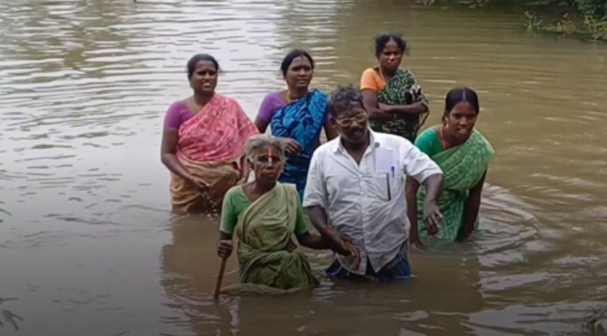 சிதம்பரம் : கொட்டி தீர்த்த கனமழையால் இடுப்பளவு தேங்கி நிற்கும் மழைநீர்