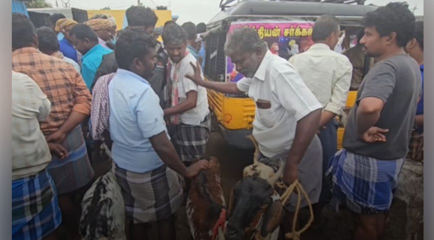 பொங்கல் பண்டிகை: பாவூர்சத்திரம் அரசு சந்தையில் ஆடு விற்பனை அமோகம்