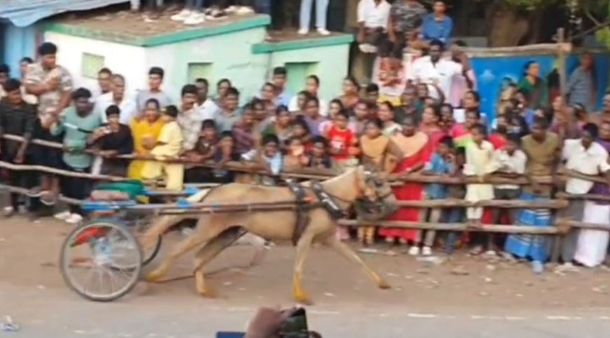 குதிரை ரேக்ளா பந்தயத்தில் ஜாக்கி இல்லாமல் தனியாக வந்த குதிரையால் பரபரப்பு