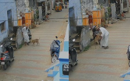 முதியவரை துரத்தித் துரத்திக் கடித்த தெருநாய்-சிசிடிவி காட்சி வெளியாகி அதிர்ச்சி