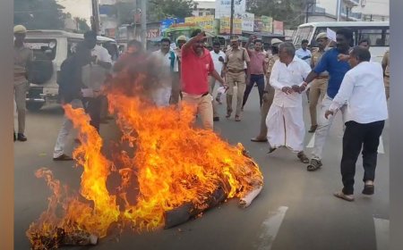 காவிரி மேலாண்மை ஆணைய தலைவர் உருவ பொம்மையை எரிப்பு- தஞ்சையில் பரபரப்பு
