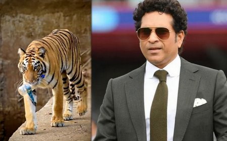 ’பாடம் கற்றுக்கொடுக்கும் புலி’ - சச்சின் வெளியிட்ட வீடியோ