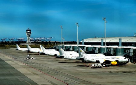 சூட்கேசில் மர்மம்: விமான நிலையத்தை சுற்றி வளைத்த தொழிலாளர்கள்