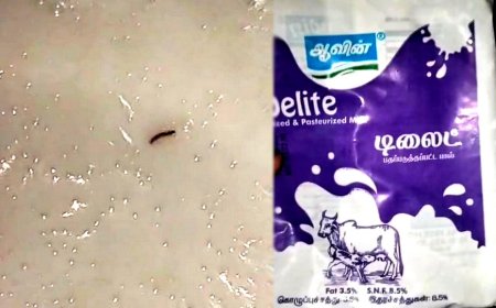 ஆவின் பால் பாக்கெட்டில் 'புழு'.. குற்றச்சாட்டை மழுப்பும் ஆவின் நிர்வாகம்..