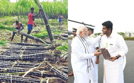 கரும்பு விவசாயிகளுக்கு தந்த வாக்குறுதியை நிறைவேற்றுங்கள்... திமுக அரசுக்கு அண்ணாமலை வலியுறுத்தல்!