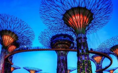 கலைஞர் நூற்றாண்டு பூங்காவில் அமையும் பிரமாண்ட கண்ணாடி பூங்கா!!! சிறப்பம்சங்கள் என்னென்ன?